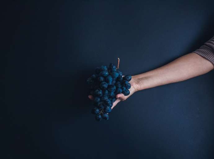 Festa della Comunità pastorale: un grappolo d'uva e una candela