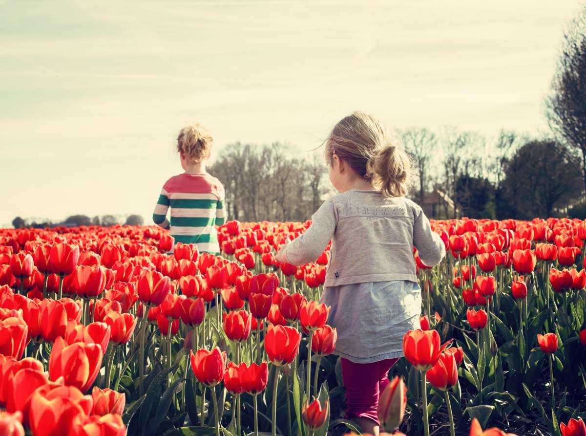 Lissago per il bambino: festa di Primavera 2021