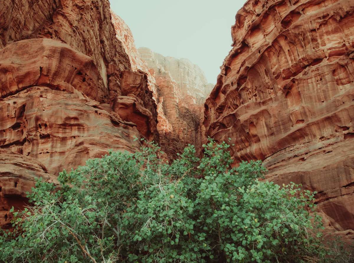 Al torrente di Cherit