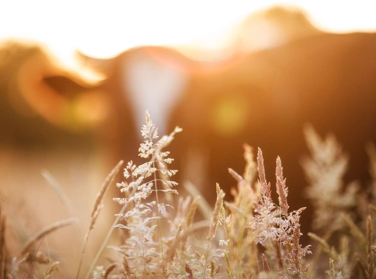 Gruppi d’ascolto nelle case 2023-24 III incontro