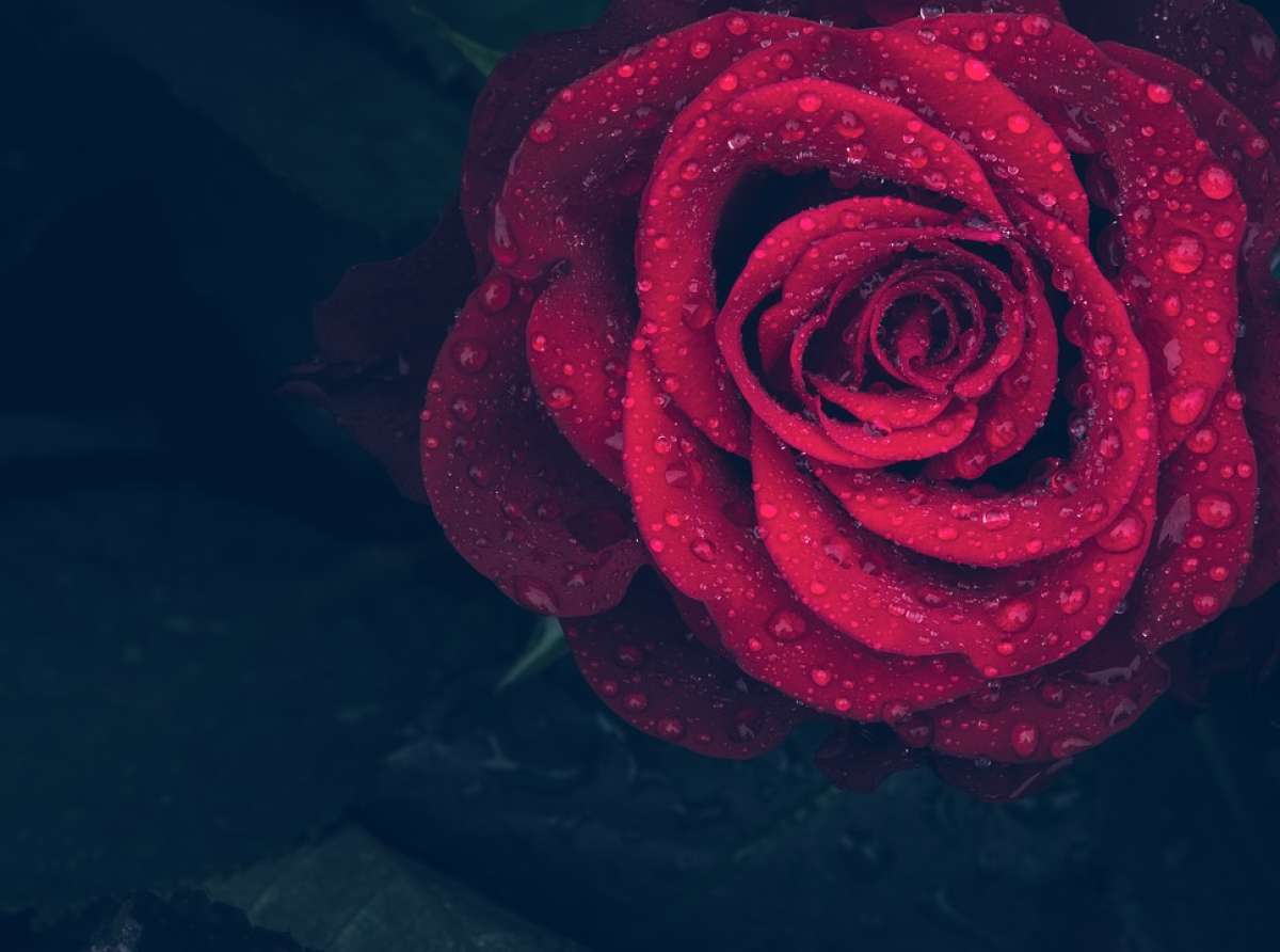 Festa di Santa Rita - Masnago - 22 Maggio