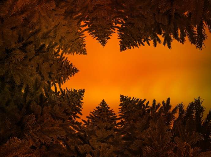 Aspettando la Cometa